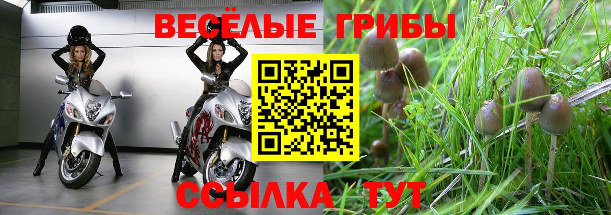 Саратов  Псилоцибиновые грибы прущие грибы  Вход с VPN 